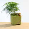 新品创意多肉花盆摆件树脂工艺品花园家居装饰品怀旧种植盆摆设品