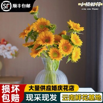云南基地直发向日葵鲜花花束水养插花客厅装饰送女友送人老师朋友