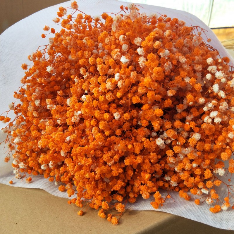 满天星干花永生花装饰材料批发零售家居婚庆跨境厂家直销