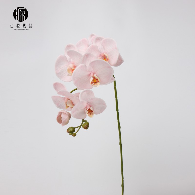 工厂直销 皇后蝴蝶兰7头长枝假花绢布过胶手感仿真花家居婚庆装饰