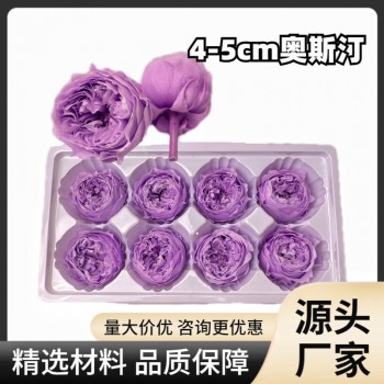 花者厂家直供A级保鲜花酷皮玫瑰4-5cm蝴蝶奥斯汀双色永生花头批发