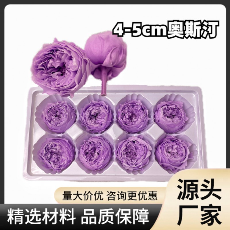 花者厂家直供A级保鲜花酷皮玫瑰4-5cm蝴蝶奥斯汀双色永生花头批发
