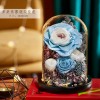 永生花玻璃罩成品玫瑰批发 情人节礼物保鲜花永生花礼盒一件代发