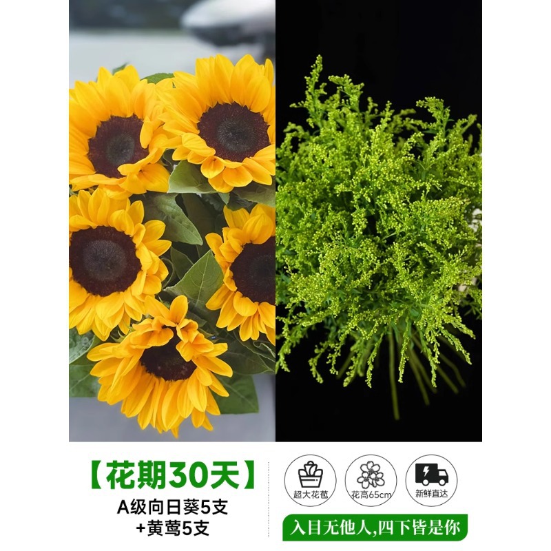 泰迪向日葵鲜花批發摆摊鲜花云南直发基地真花材鲜切花期长插花束