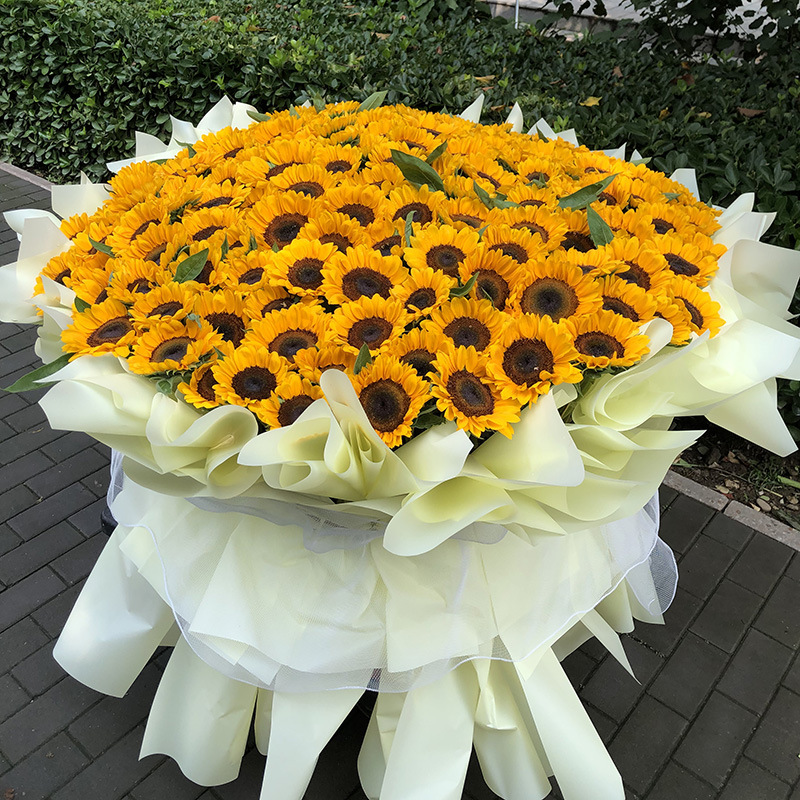 求婚朵玫瑰花束52送女友七夕花束9990表白配送鲜花速递同城朵