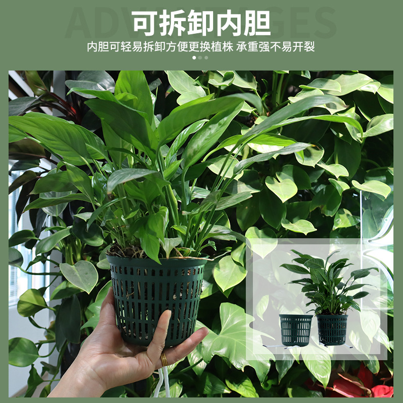 室外花盆垂直立体绿化种植盒花园多层组装式市政围挡壁挂式植物墙