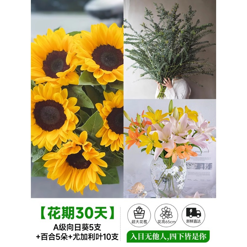 泰迪向日葵鲜花批發摆摊鲜花云南直发基地真花材鲜切花期长插花束
