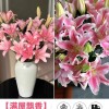 鲜花云南直发多头百合花鲜花水养香水百合鲜切花真花束基地批发