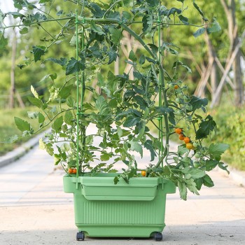 MK-04茄果盆单套装园艺用品 水土分离家用阳台花园蔬菜种植花盆