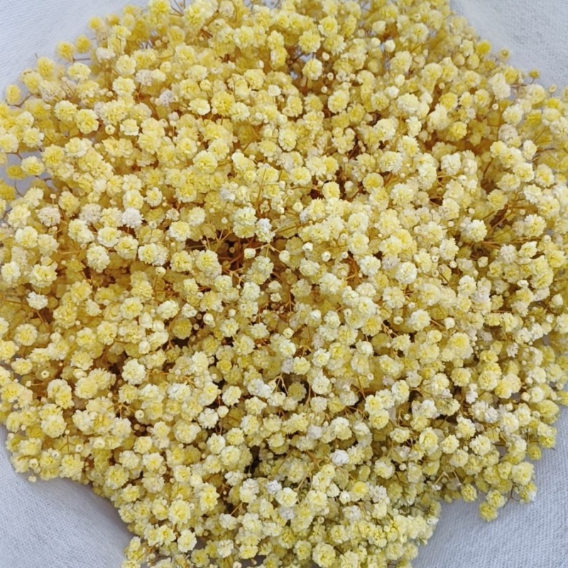 满天星干花永生花装饰材料批发零售家居婚庆跨境厂家直销
