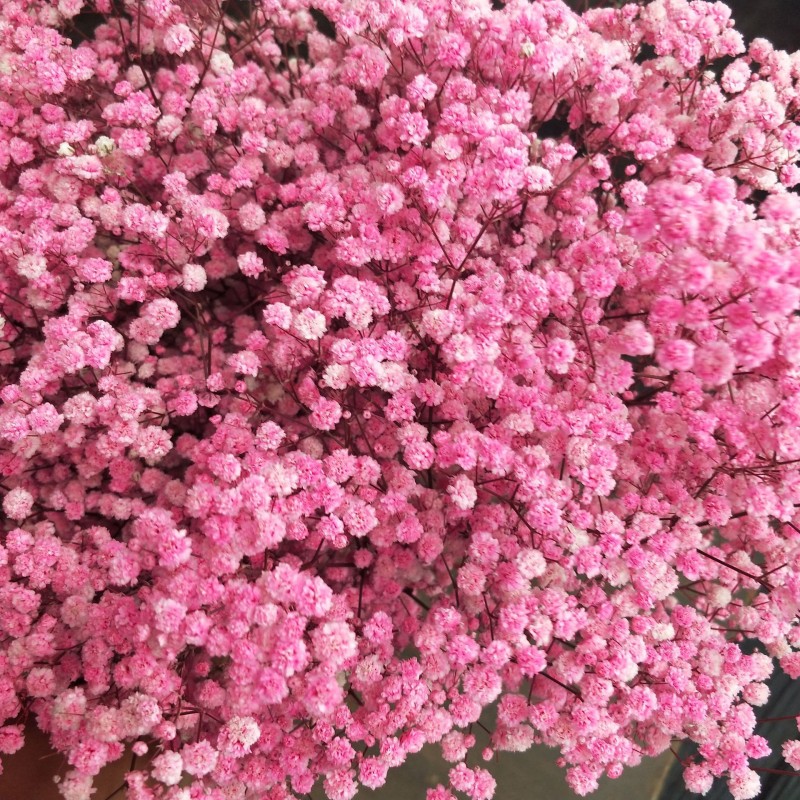 满天星干花永生花装饰材料批发零售家居婚庆跨境厂家直销
