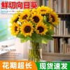 泰迪向日葵鲜花批發摆摊鲜花云南直发基地真花材鲜切花期长插花束