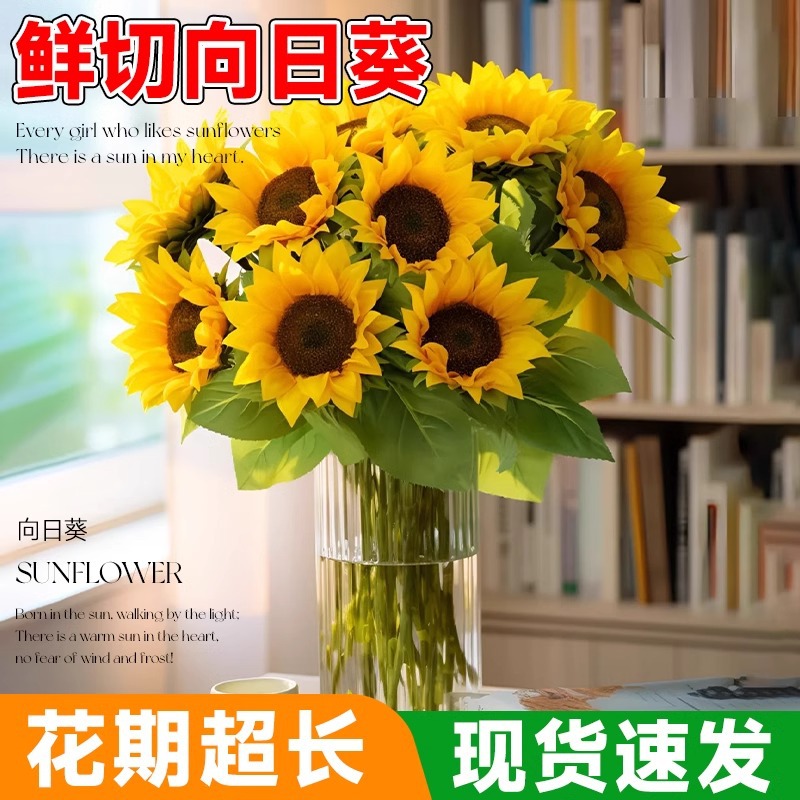 泰迪向日葵鲜花批發摆摊鲜花云南直发基地真花材鲜切花期长插花束