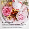 开业创意礼物公仔猫永生花玻璃罩礼盒母亲节情人节礼物永生花成品