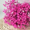 满天星干花永生花装饰材料批发零售家居婚庆跨境厂家直销