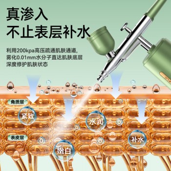 严选康佳家用补水仪便携手持注氧仪高压喷雾器批发纳美容仪面部米