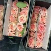单头玫瑰花云南鲜花直批花店家用教师节母亲节花卉批发可一件代发