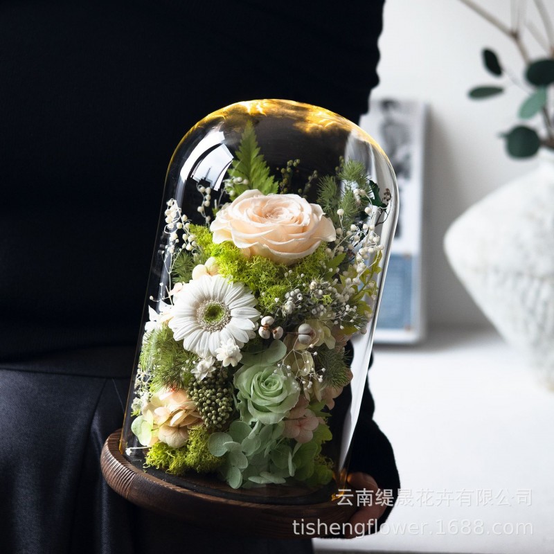 GLORIOUS永生花成品玫瑰保鲜花带灯高级感送女友七夕情人节礼物