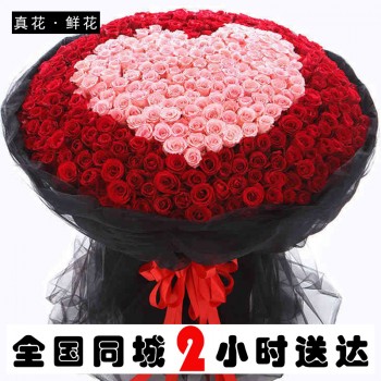 999朵365朵红玫瑰花束鲜花速递同城北京上海成都配送生日求婚