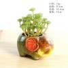 多肉花盆迷你盆栽花园庭院摆件装饰品桌面置物架绿植陶瓷花盆容器