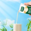 豆本豆唯甄原味豆奶250ml*24盒经典整箱装早餐奶植物蛋白代餐饮料
