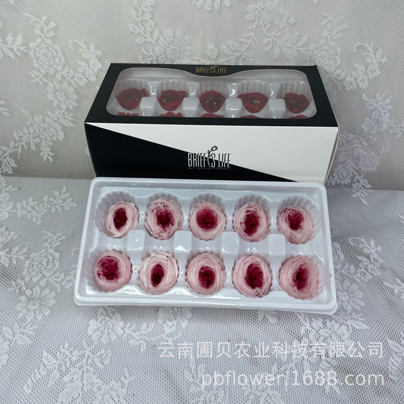 花者厂家直供A级保鲜花酷皮玫瑰4-5cm蝴蝶奥斯汀双色永生花头批发
