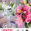 鲜花云南直发多头百合花鲜花水养香水百合鲜切花真花束基地批发