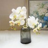 蝴蝶兰仿真花高级手感兰花摆放花卉客厅餐桌玄关婚庆装饰花艺摆件