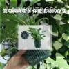 室外花盆垂直立体绿化种植盒花园多层组装式市政围挡壁挂式植物墙