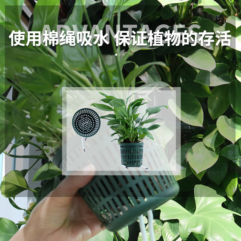 室外花盆垂直立体绿化种植盒花园多层组装式市政围挡壁挂式植物墙