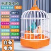录音鸟笼儿童玩具声控感应学舌仿真说话小鸟摆摊夜市批发男孩宝宝