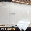 墙面装饰板厂家工程快装墙板台球厅装修碳晶板装修材料板临沂板材
