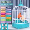 录音鸟笼儿童玩具声控感应学舌仿真说话小鸟摆摊夜市批发男孩宝宝