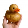 跨境新品 Whimsical Vegetable Duck 奇思妙想的素鸭树脂工艺品