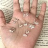 S925纯银蝴蝶耳钉女ins小众设计感睡觉免摘耳环简约养耳洞耳饰