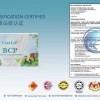 Bcp