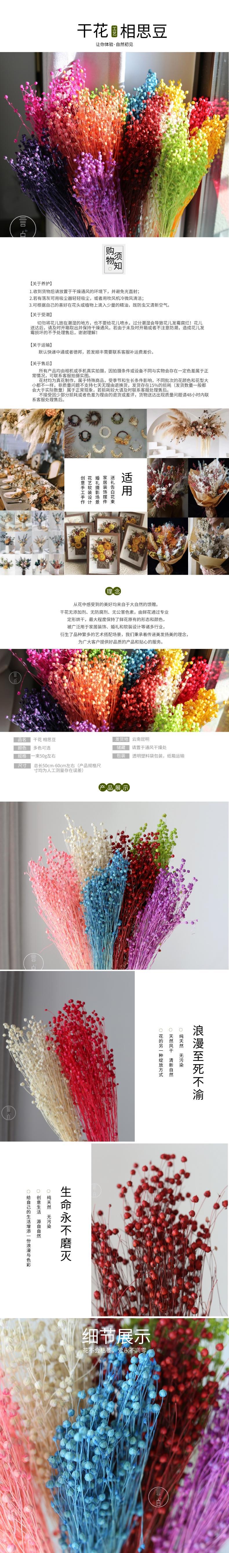 干花相思豆