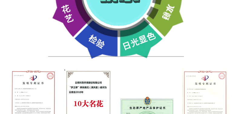 整体_08.png