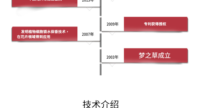 整体_06.png
