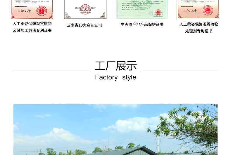整体_09.png