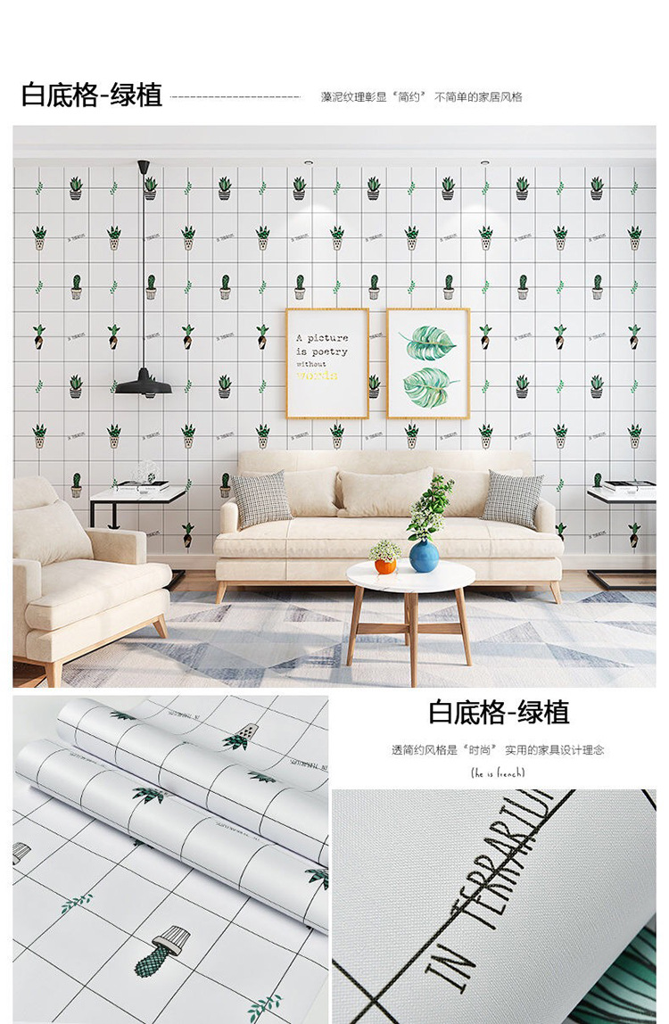 白底格-绿植.jpg