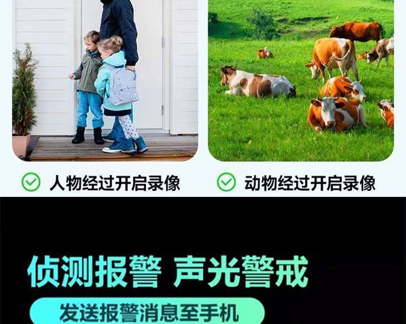 详情_25.jpg