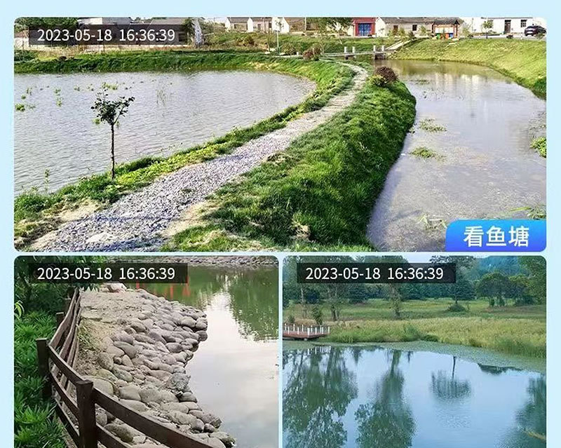 详情_17.jpg