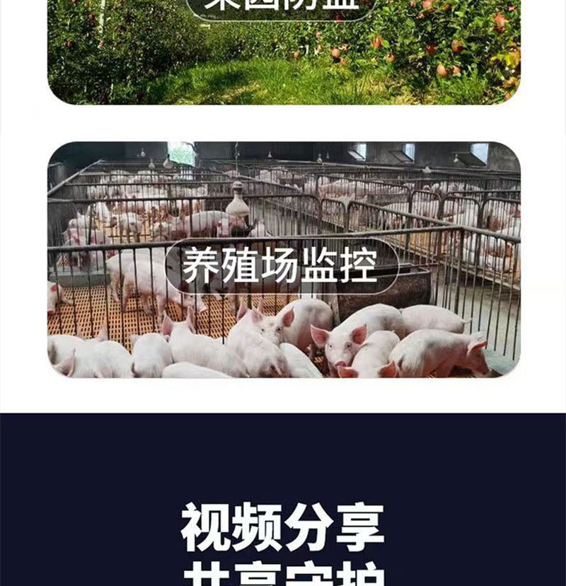 详情D_02.jpg